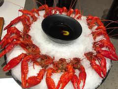 冰镇龙虾-一棠龙虾(徐家汇城开YOYO店)