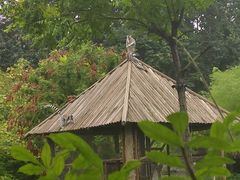 -石家庄市动物园