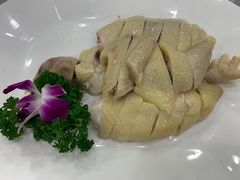阳山走地鸡-六婶西关小厨(光塔路店)