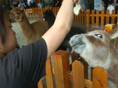 -华夏文旅西安度假区