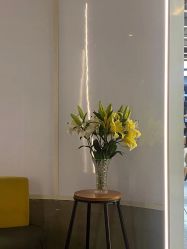 -PE SALON 