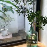 🍭国风咖啡店【当归—应当回归】