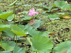 -棋盘山风景区