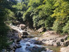 -炎陵县神农谷国家森林公园