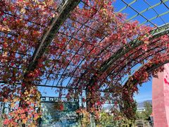 -北京金海湖景区