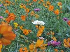 -贵阳市花溪国家城市湿地公园