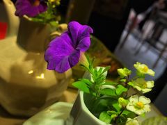 -茶是一枝花泡茶店