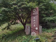 -千岛湖石林