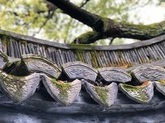 -上海醉白池公园
