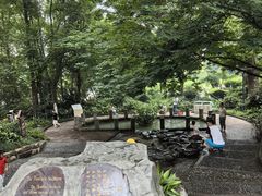 -成都市活水公园