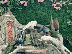 -野象谷景区