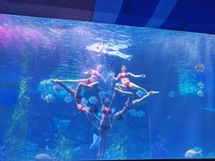 -泉城欧乐堡海洋极地世界