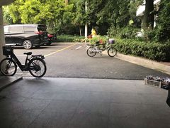 -天河体育中心游泳馆
