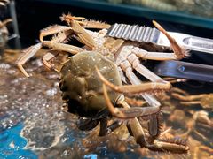 -苏格里岛自助烤肉海鲜火锅(成都金牛万达店)