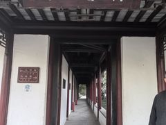 -水绘园