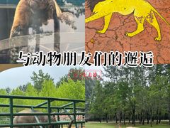 -秦皇岛野生动物园