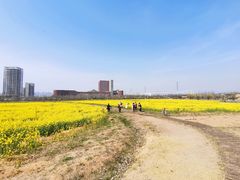 -西海岸生态观光园