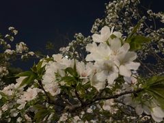 -闸弄口(地铁站)