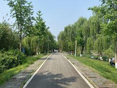 -白鹭湾湿地公园