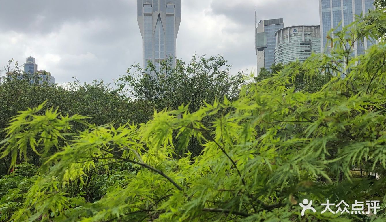 闹市中的绿肺