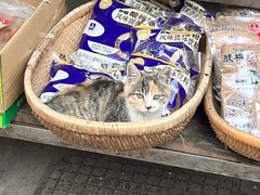 -魏家凉皮(博水商务大厦店)