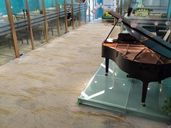 -圣典成人钢琴俱乐部(国贸旗舰校区)