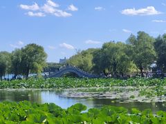 -长春市南湖公园