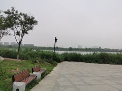 -水西公园