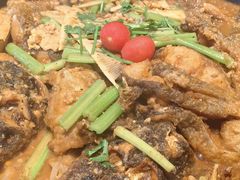 -老板恋上鱼(恒隆广场店)