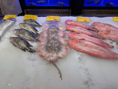 -万宝海鲜舫(劳动公园店)