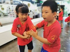 -温鉴良实用咏春拳