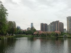 -四海公园(南山区)