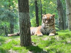 -北京野生动物园