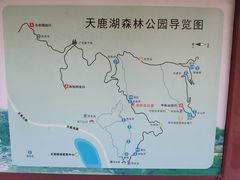 -天鹿湖森林公园