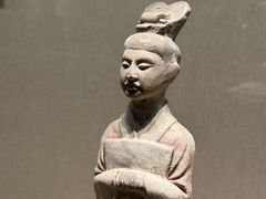 -河南博物院