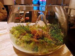 -汤城·料青山