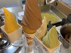-野人先生现做冰淇淋(北京环宇荟店)