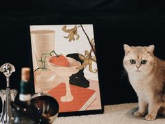 -布歌东京(益田假日店)