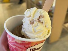 -哈根达斯(青岛海信店)