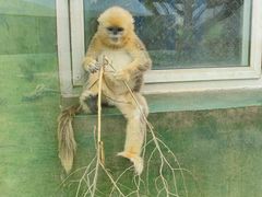 -大连森林动物园