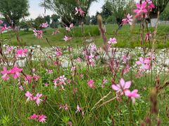 -汉长安城未央宫国家考古遗址公园