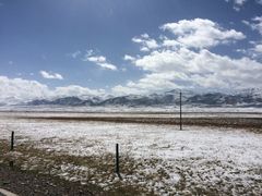 -雪露酸奶