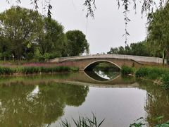-东郊湿地公园