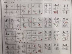 -蕃茄田艺术•美术绘画 •硬笔书法(滨江海威领界店)