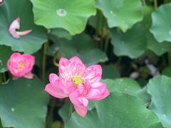 -沐仙湖湿地公园