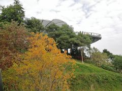 -云溪植物园