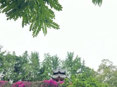 -成都市文化公园