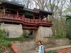 -紫霞湖公园