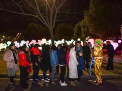 -锦江乐园舞狸花花游园会(夜场专享)