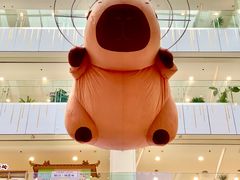-凯德MALL(西直门店)